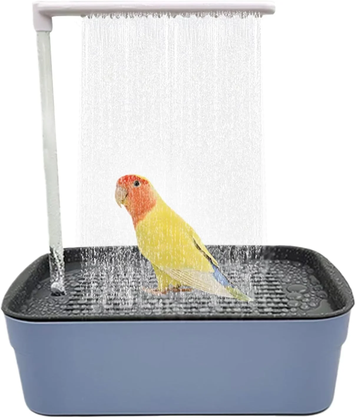 Automatic Bird Bath | Bird Bath Shower Fountain | Cage Accessories Tub for Conures Small Medium Parakeets Cockatiel African Grey Pets Automatic Bird Bath | Bird Bath Shower Fountain | Cage Accessories Tub for Conures Small Medium Parakeets Cockatiel African Grey Pets