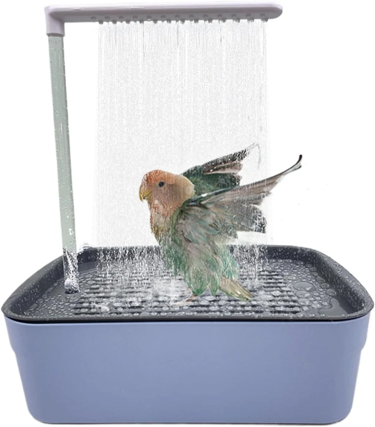 Parrot Automatic Bathtub with Shower | Parrot Shower Box with Running Water | USB Electric Fountain Tub for Small Medium Conures Cockatiel African Grey Lovebirds Parrot Automatic Bathtub with Shower | Parrot Shower Box with Running Water | USB Electric Fountain Tub for Small Medium Conures Cockatiel African Grey Lovebirds
