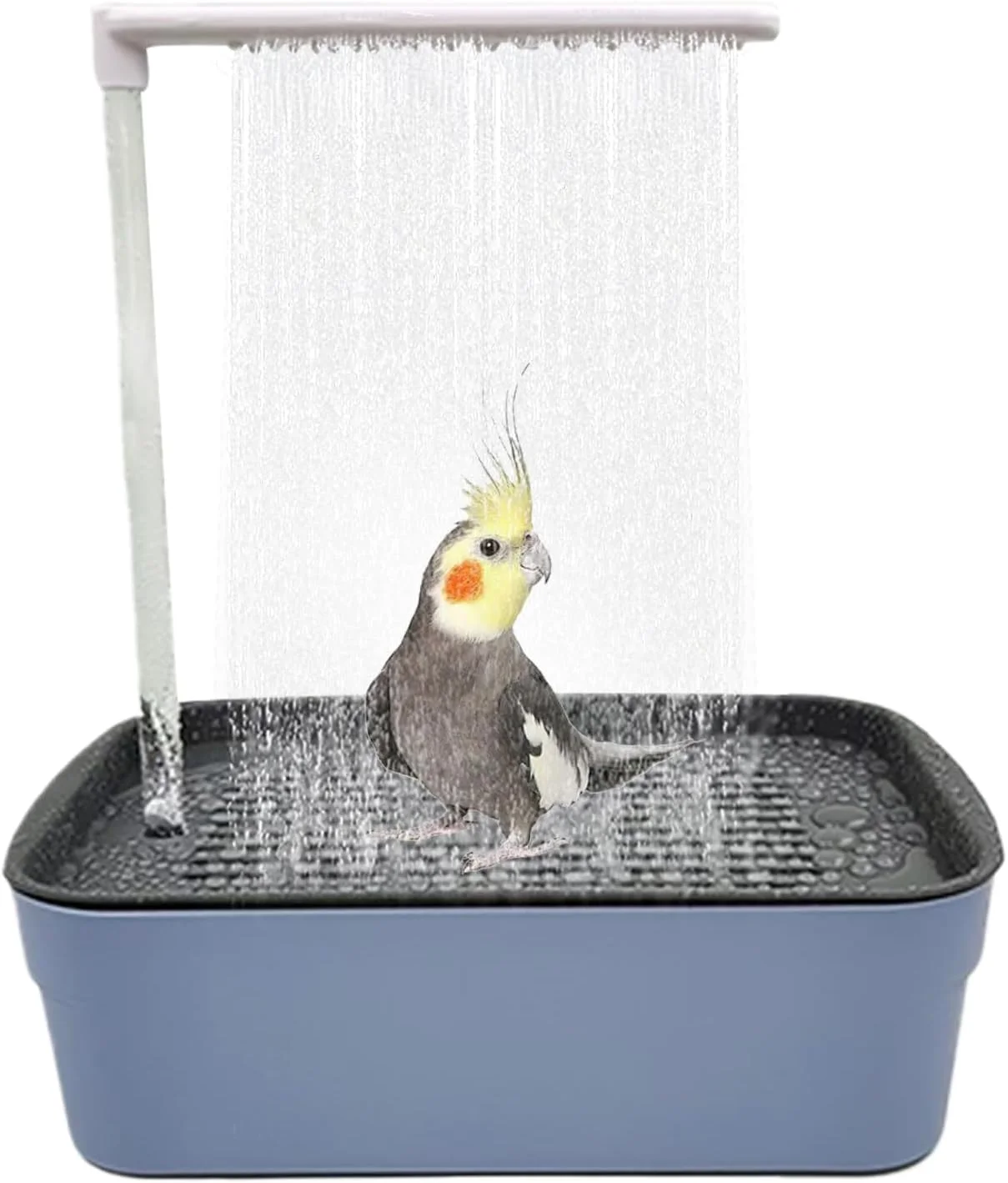 Automatic Bird Bath | Bird Bath Shower Fountain | Cage Accessories Tub for Conures Small Medium Parakeets Cockatiel African Grey Pets Automatic Bird Bath | Bird Bath Shower Fountain | Cage Accessories Tub for Conures Small Medium Parakeets Cockatiel African Grey Pets