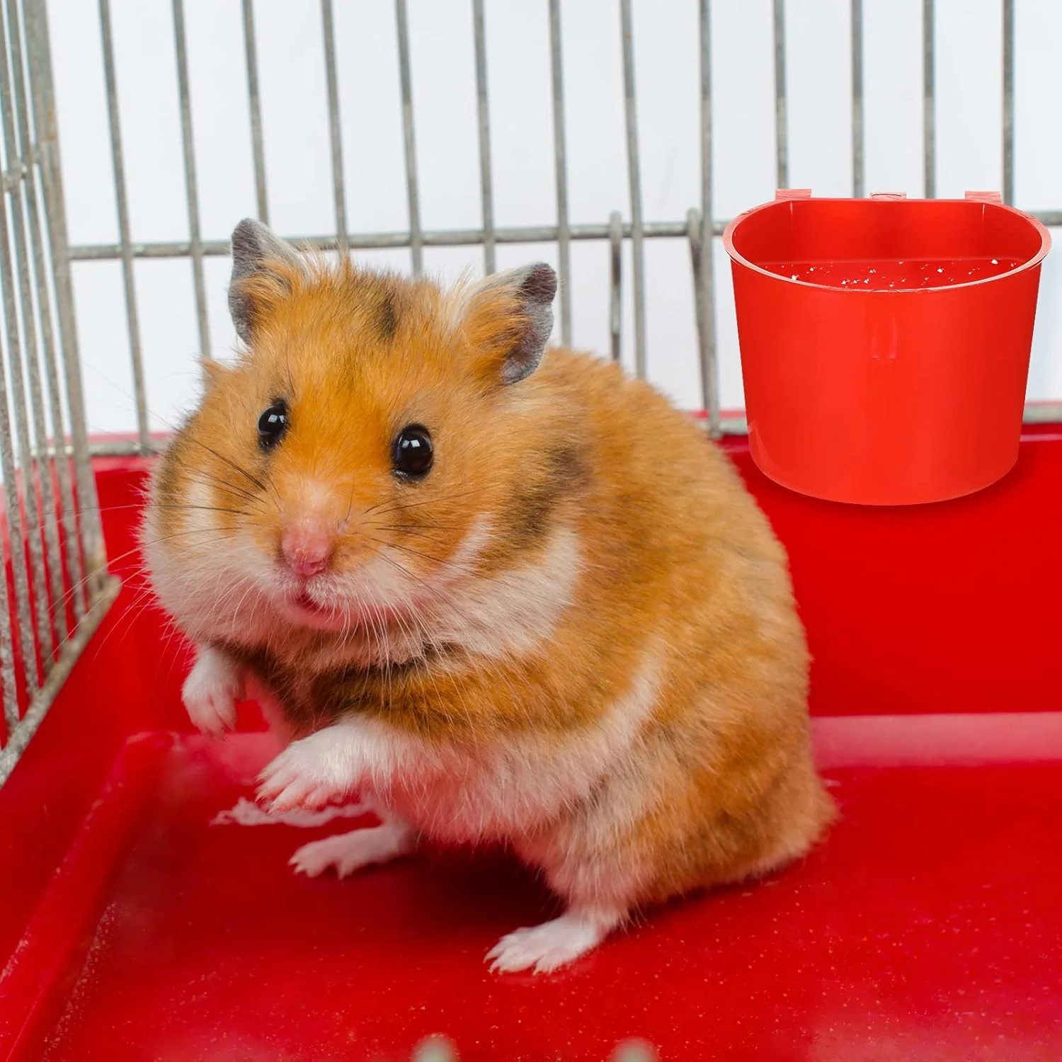 ظروف پلاستیکی قرمز قفس سوکلین، 30 عدد، ظروف غذا و آب پرندگان برای حیوانات کوچک و طیور ظروف پلاستیکی قرمز قفس سوکلین، 30 عدد، ظروف غذا و آب پرندگان برای حیوانات کوچک و طیور