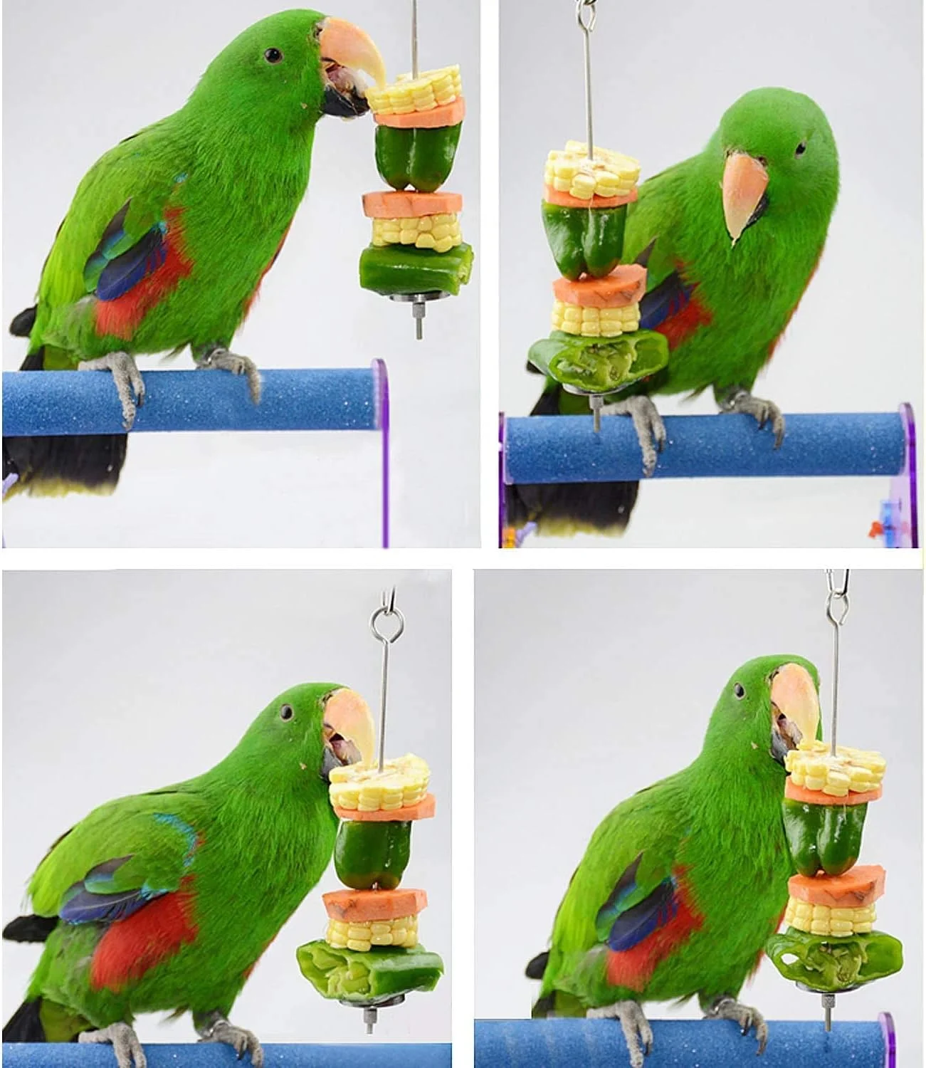 نگهدارنده میوه و سبزیجات استیل ضد زنگ طوطی - اسباب بازی تغذیه ای سیخ خوراکی پرنده، مناسب برای قفس طوطی و کاکادو نگهدارنده میوه و سبزیجات استیل ضد زنگ طوطی - اسباب بازی تغذیه ای سیخ خوراکی پرنده، مناسب برای قفس طوطی و کاکادو