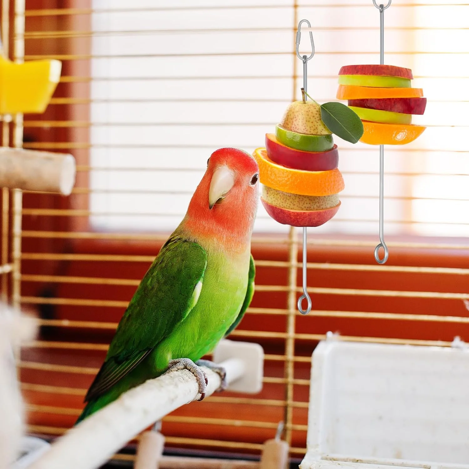 3 عدد نگهدارنده غذا قفس پرنده، سیخ غذا پرنده، استیل ضد زنگ، میوه طوطی، نگهدارنده چوب سبزیجات، قفس پرندگان، اسباب بازی تغذیه، میله آویزان، اسباب بازی جونده، تغذیه کننده آهسته برای مرغ عشق، باجریگار، ماکائو 3 عدد نگهدارنده غذا قفس پرنده، سیخ غذا پرنده، استیل ضد زنگ، میوه طوطی، نگهدارنده چوب سبزیجات، قفس پرندگان، اسباب بازی تغذیه، میله آویزان، اسباب بازی جونده، تغذیه کننده آهسته برای مرغ عشق، باجریگار، ماکائو