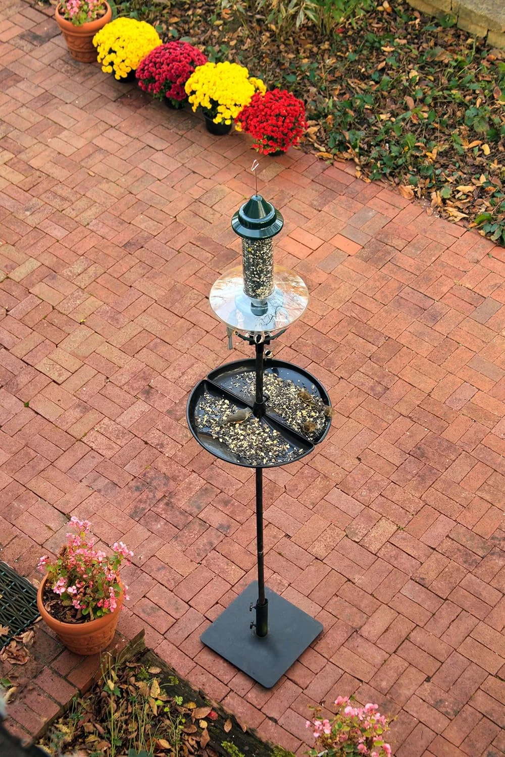 ایستگاه تغذیه پرندگان ضد سنجاب Squirrel Buster Plus Podium، شامل فیدر پرنده پلاس، محافظ آب و هوا، آداپتور میله، میله تکی BirdsUP و سینی جمع آوری دانه
