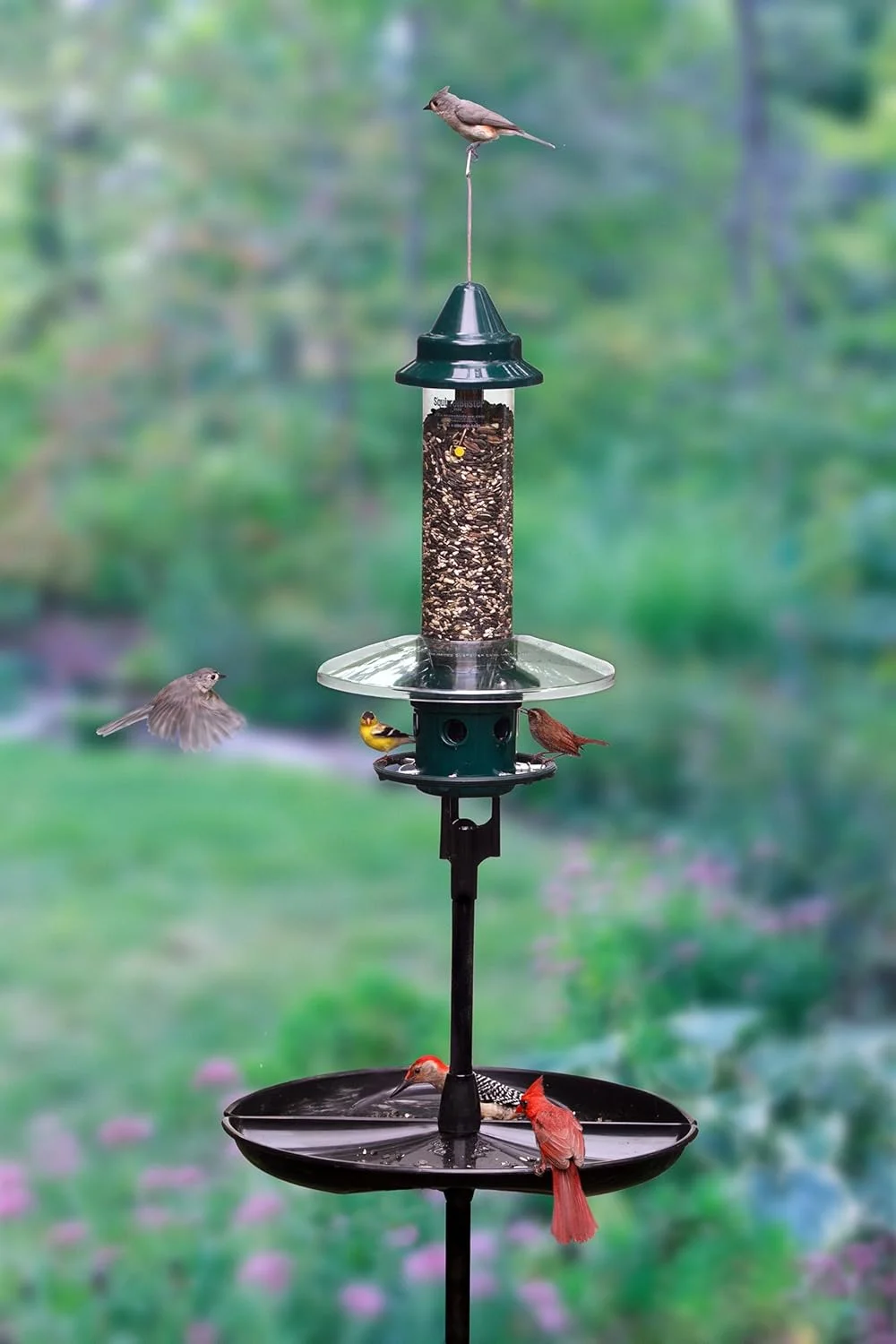 ایستگاه تغذیه پرندگان ضد سنجاب Squirrel Buster Plus Podium، شامل فیدر پرنده پلاس، محافظ آب و هوا، آداپتور میله، میله تکی BirdsUP و سینی جمع آوری دانه