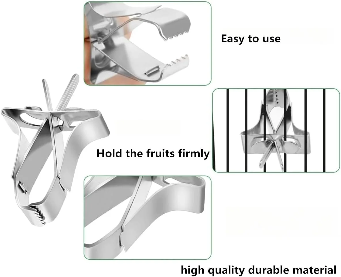 گیره نگهدارنده غذا برای قفس پرنده، بسته 4 عددی گیره استیل ضد زنگ برای قفس پرنده، فیدر بادوام میوه و سبزیجات، لوازم جانبی قفس گیره تغذیه پرنده برای همستر، عروس هلندی، طوطی و حیوانات کوچک