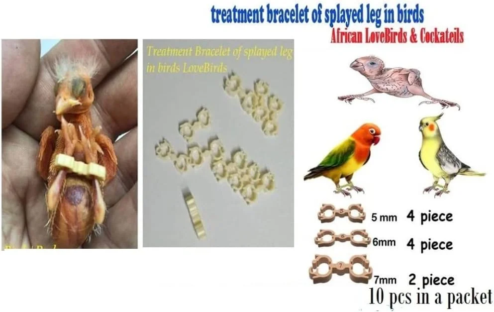 دستبند (حلقه) درمان پای باز برای فنچ، مرغ عشق آفریقایی، عروس هلندی. تعداد: 10 عدد سایز مختلف به همراه 2 عدد لوله تغذیه استیل 18Gx55mm خمیده رایگان دستبند (حلقه) درمان پای باز برای فنچ، مرغ عشق آفریقایی، عروس هلندی. تعداد: 10 عدد سایز مختلف به همراه 2 عدد لوله تغذیه استیل 18Gx55mm خمیده رایگان
