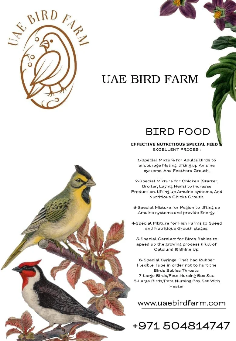 سرنگ لاستیکی مخصوص تغذیه دستی جوجه پرندگان سرنگ لاستیکی مخصوص تغذیه دستی جوجه پرندگان