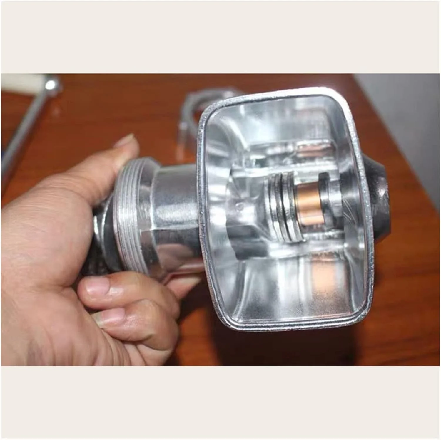 دستگاه کوچک دستی تولید خوراک ماهی، طیور و خرگوش REHOOF / ابزار پردازش اکسترودر دستی خوراک پرندگان (اندازه ذرات: 4.0 میلی متر)