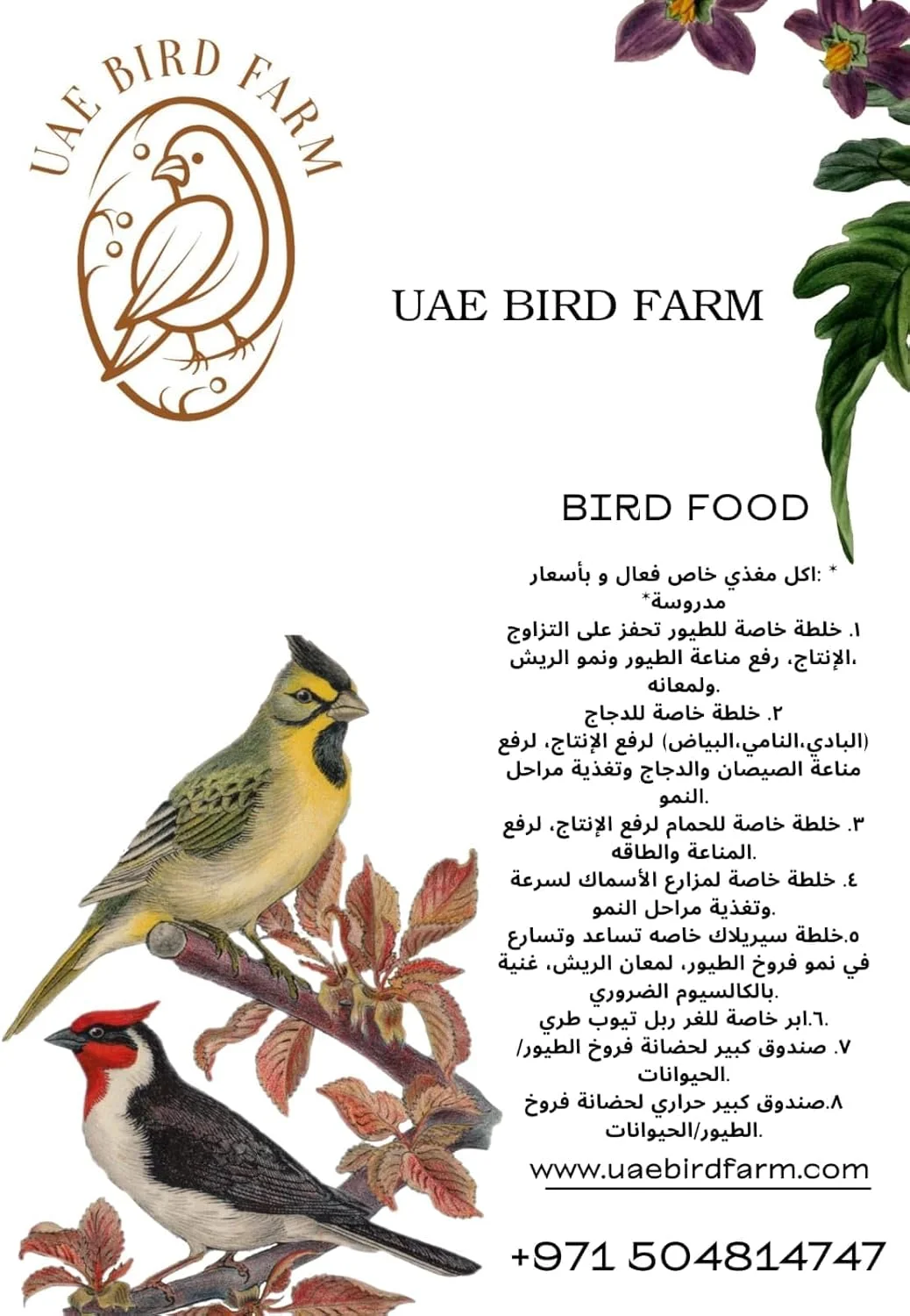 سرنگ لاستیکی مخصوص تغذیه دستی جوجه پرندگان سرنگ لاستیکی مخصوص تغذیه دستی جوجه پرندگان