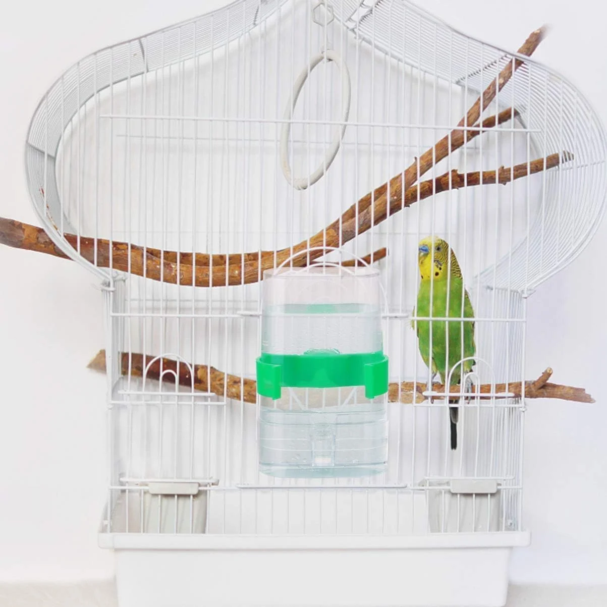 ظرف آبخوری اتوماتیک پرندگان Sagreeny، ظرف غذای پرنده، بسته 2 عددی پلاستیکی شفاف، ضد ریزش، ایده آل برای پرندگان کوچک (مرغ عشق، فنچ، قناری، عروس هلندی)، مناسب برای استفاده در داخل/خارج از خانه