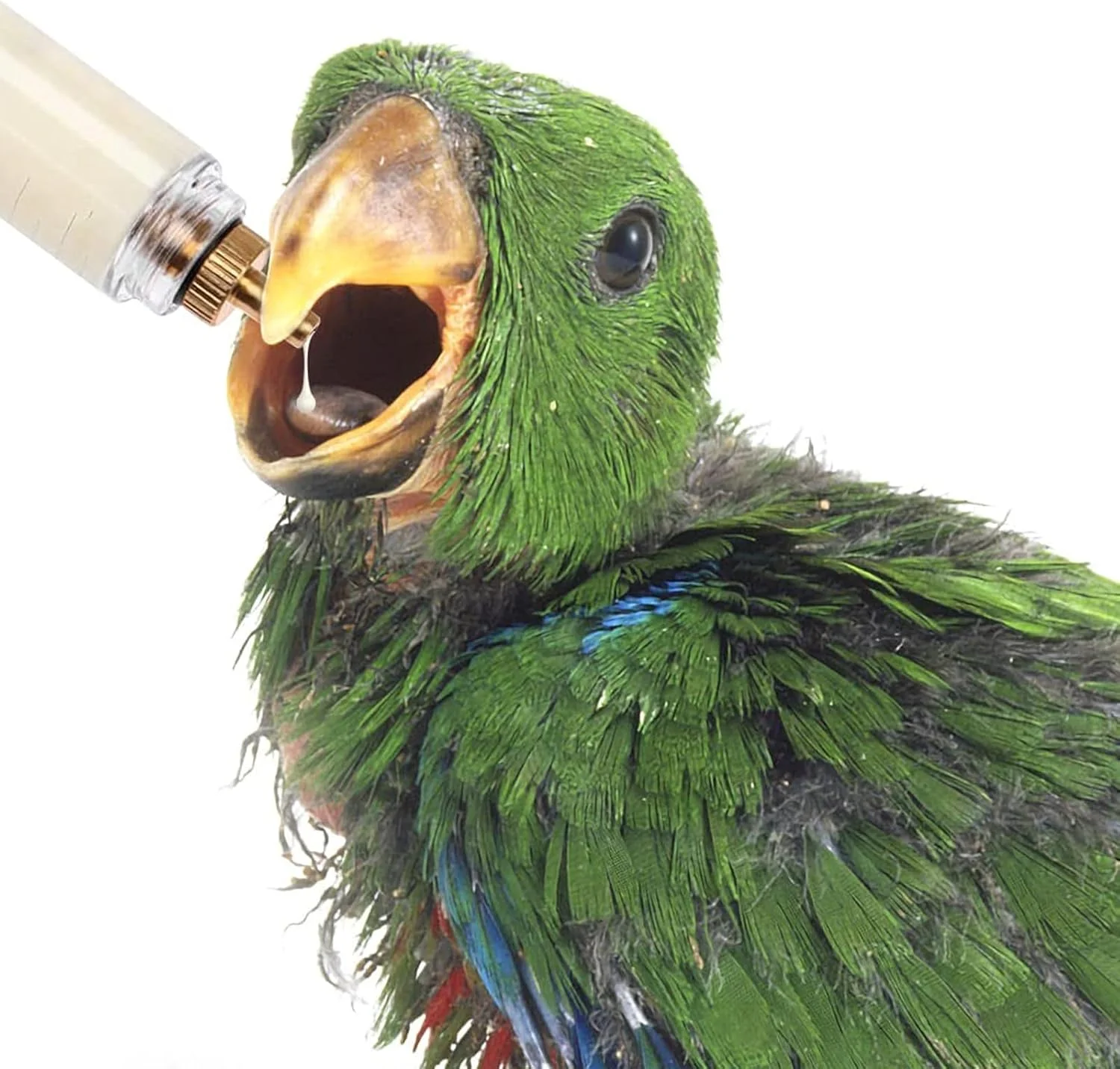 سرنگ تغذیه دستی پرندگان نوزاد سارینی 3 عددی، لوله های تغذیه، 3 عدد قاشق تغذیه، 6 عدد لوله گاواژ خمیده، برای تغذیه شیر و داروی طوطی پرنده نوزاد حیوان خانگی (20 میلی لیتر، 10 میلی لیتر، 50 میلی لیتر)