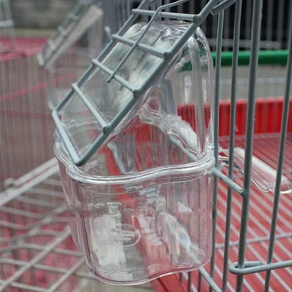 ظرف غذای پرنده QIANZHENGHUA با میله نشیمن، پخش کننده غذای طوطی برای قفس، ضد پاشش، جعبه شفاف جداشدنی، لوازم جانبی قفس