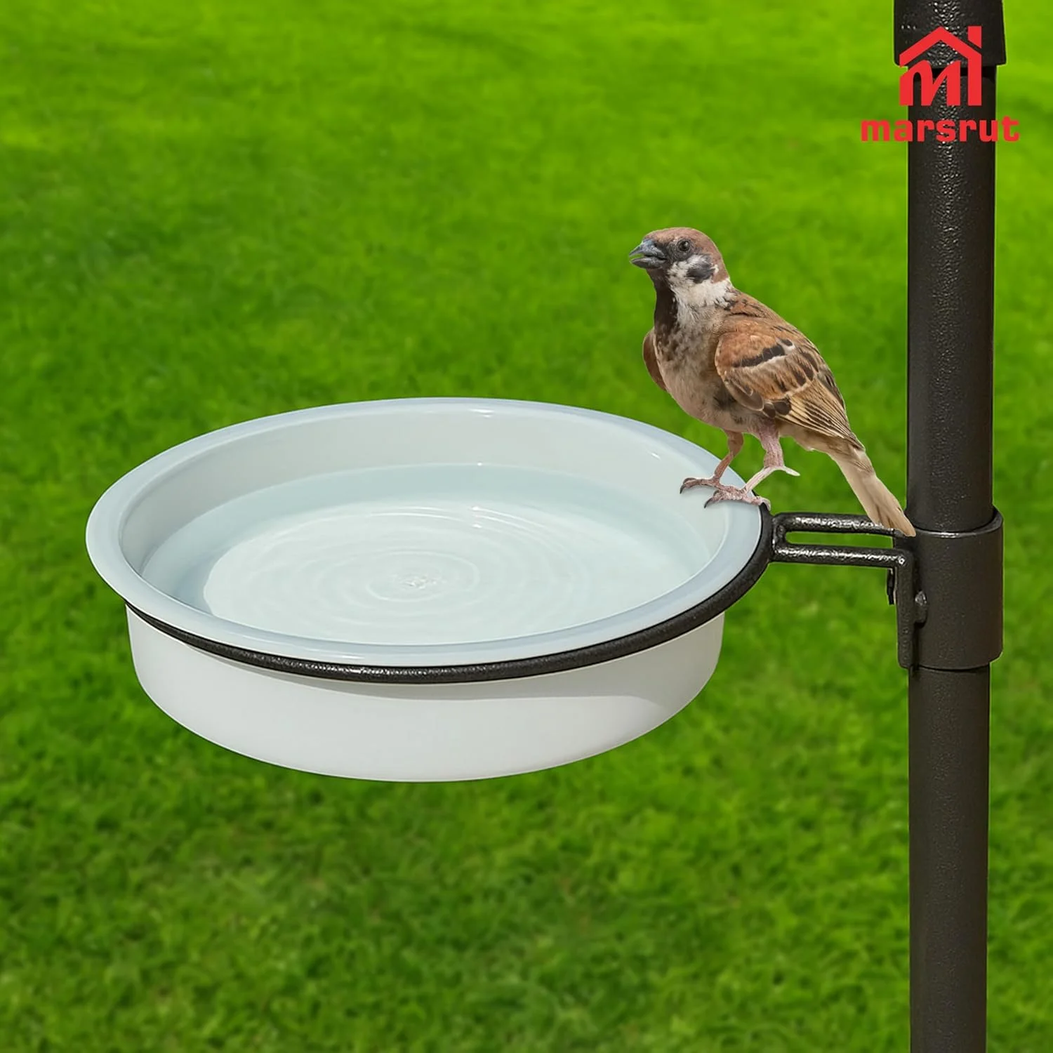 سینی دانه پرنده 4 عددی، 18x4 سانتی متر لوازم جانبی پلاستیکی ایستگاه تغذیه حمام پرنده (سفید)