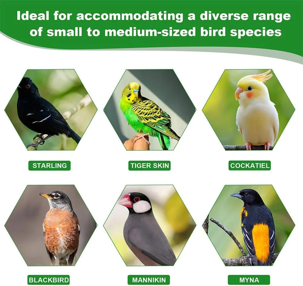 آبخوری اتوماتیک قفس پرنده PINKE، ست ظرف غذای حیوانات خانگی برای قفس، آبخوری بدون چکه کاکتوسی برای مرغ عشق، عروس هلندی، باجی و پرندگان کوچک، کاسه غذا و آبخوری ثقلی آبخوری اتوماتیک قفس پرنده PINKE، ست ظرف غذای حیوانات خانگی برای قفس، آبخوری بدون چکه کاکتوسی برای مرغ عشق، عروس هلندی، باجی و پرندگان کوچک، کاسه غذا و آبخوری ثقلی