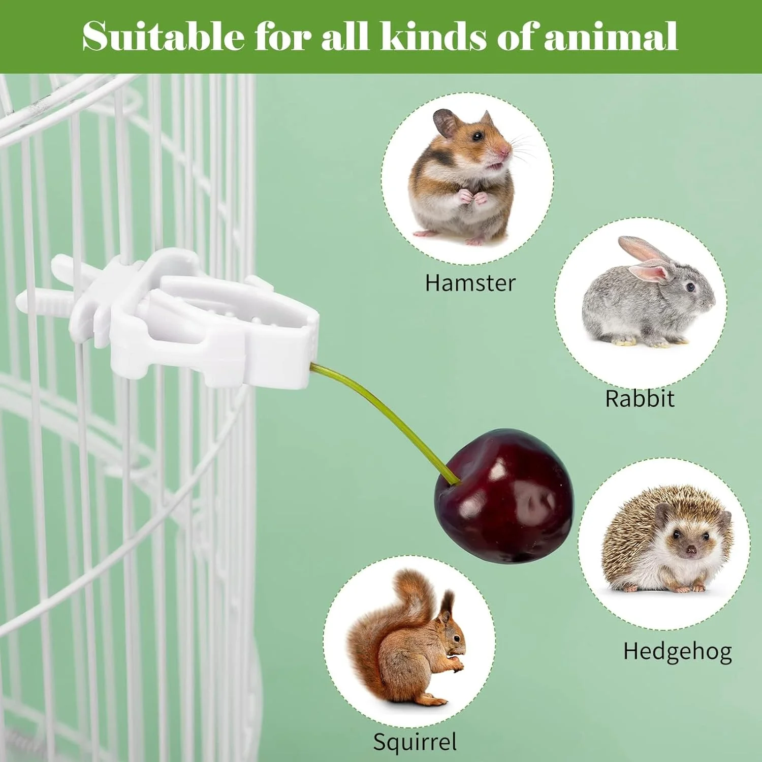 گیره قفس پرنده پاپوریچ، 12 عدد، نگهدارنده غذا، گیره قفس پرنده برای تشویقی، میوه، سبزیجات، گیره تغذیه حیوانات خانگی برای مرغ عشق، طوطی، کاکادو، ماکائو، عروس هلندی، کانور و سایر حیوانات