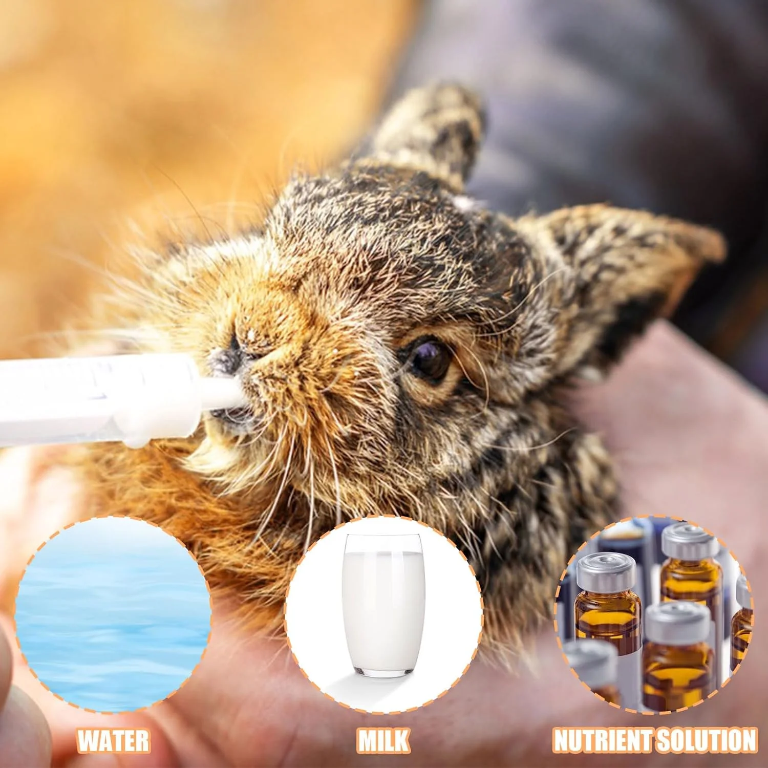 سرنگ تغذیه پرندگان نوزاد، 1 عدد سرنگ تغذیه نوزاد پرنده با 20 شلنگ، سرنگ تغذیه استریل حیوانات خانگی برای حیوانات کوچک، بچه گربه ها، توله سگ ها، آزمایشگاه های صنعتی علمی (B)