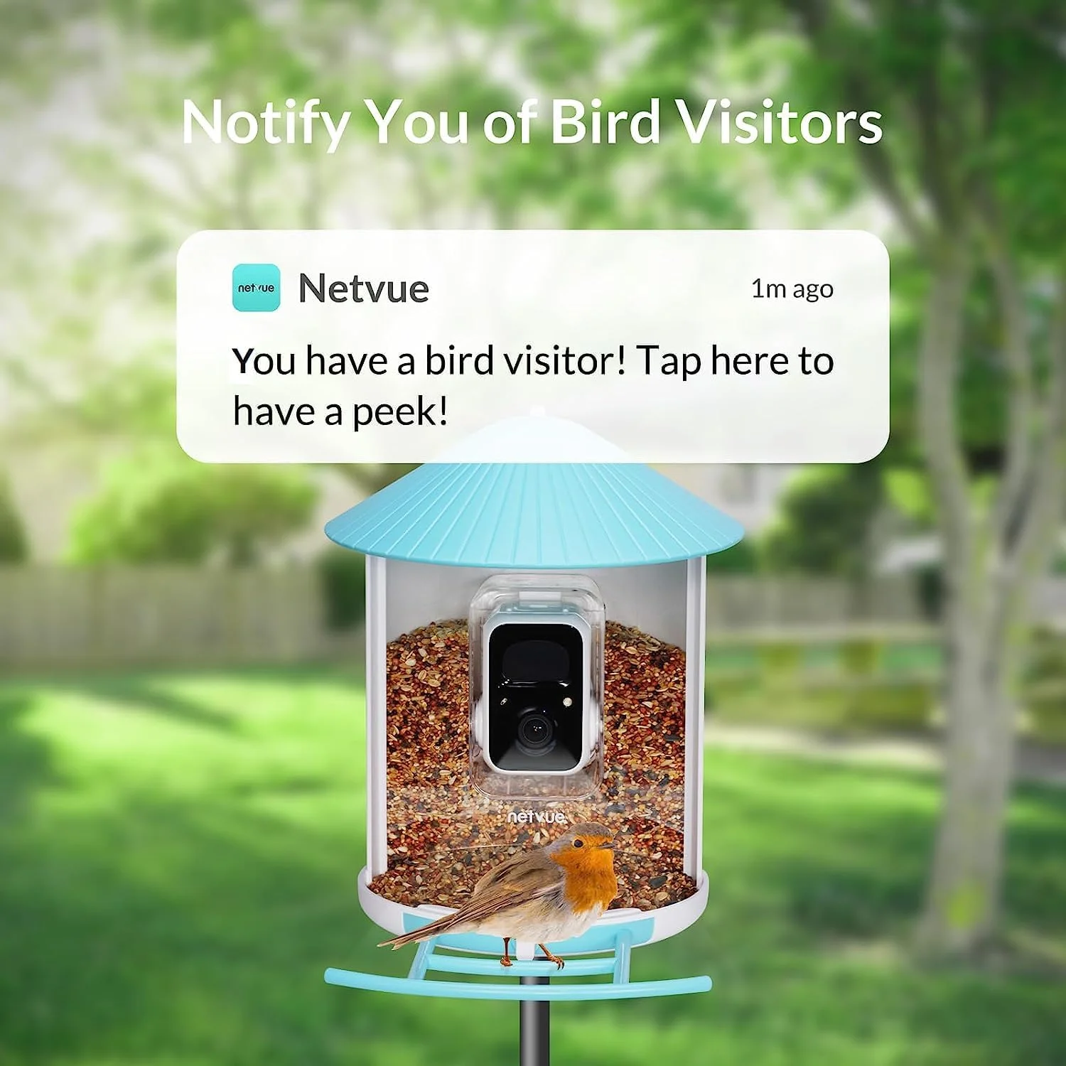 فیدر پرنده هوشمند NETVUE Birdfy به همراه دوربین و پنل خورشیدی