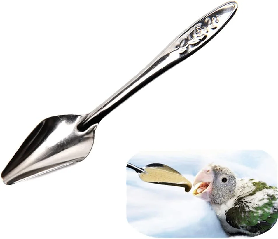 مومووآ 10 عدد قاشق غذاخوری پرندگان استیل ضد زنگ، قاشق های شیر و دارو برای تغذیه دستی طوطی، مناسب برای طوطی های عروس هلندی و پیونی