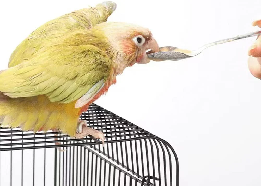 مومووآ 10 عدد قاشق غذاخوری پرندگان استیل ضد زنگ، قاشق های شیر و دارو برای تغذیه دستی طوطی، مناسب برای طوطی های عروس هلندی و پیونی