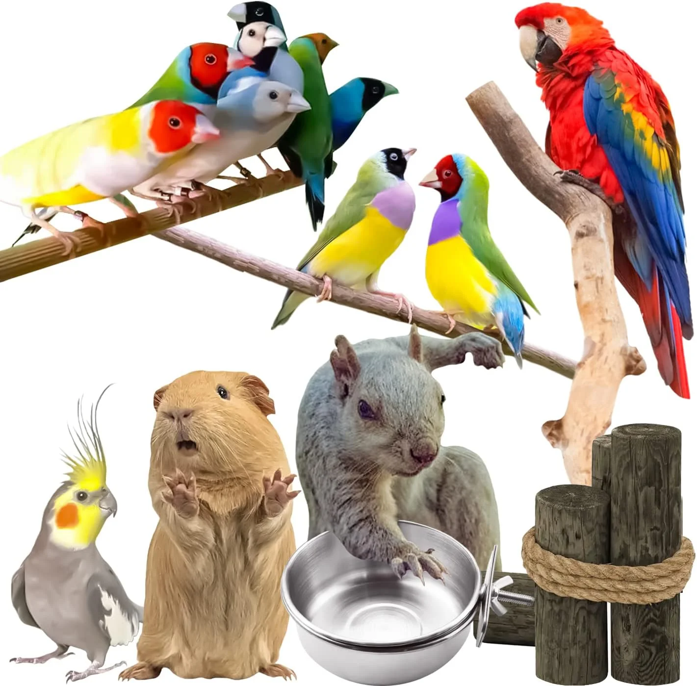 ظروف غذای پرنده استیل MotBach، مجموعه 3 عددی، کاسه های آب و غذای طوطی با گیره، نگهدارنده فنجان قفس حیوانات خانگی برای طوطی، عروس هلندی، مرغ عشق و حیوانات کوچک