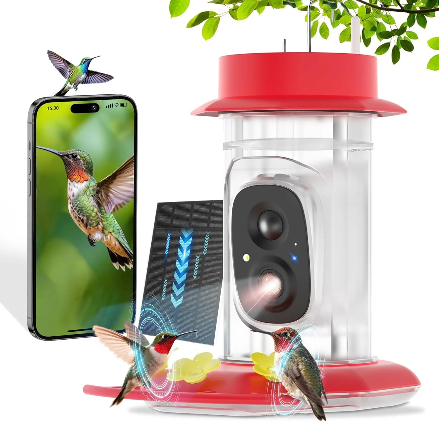 آبخوری پرنده مرغ مگس خوار با دوربین، دارای انرژی خورشیدی، عملکرد ضد مورچه و ضد زنبور، شناسایی پرنده با هوش مصنوعی، تمیز کردن و پر کردن آسان، مجهز به برنامه تماشای پرندگان، یک هدیه ایده آل برای دوستداران مرغ مگس خوار