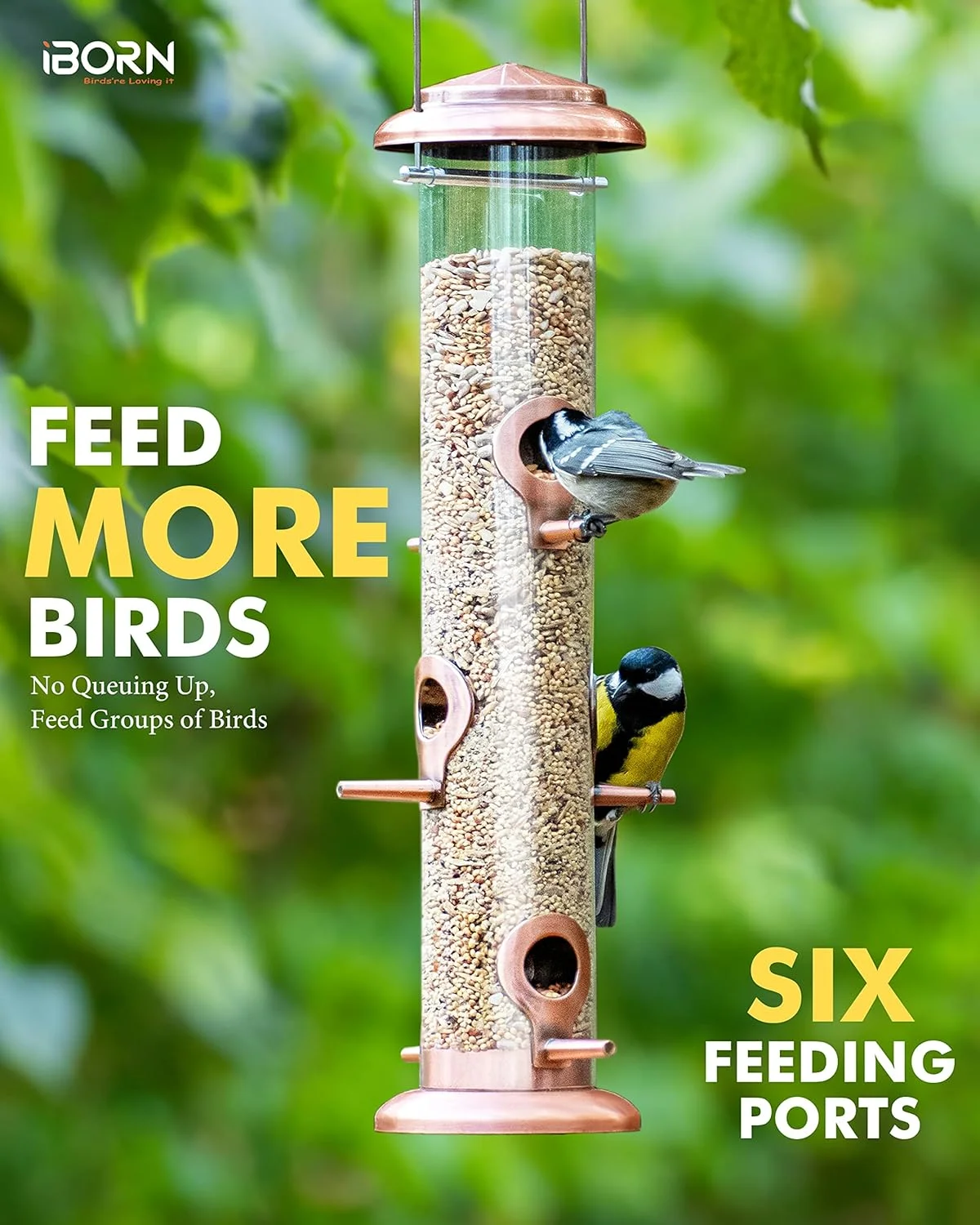 ظرف غذای پرنده فلزی iBorn، روکش مسی برس خورده، مناسب پرندگان وحشی برای آویزان کردن در فضای باز، تمام فلزی، روکش مسی برس خورده، 14 اینچ، 6 خروجی، بسته 2 عددی ظرف غذای پرنده فلزی iBorn، روکش مسی برس خورده، مناسب پرندگان وحشی برای آویزان کردن در فضای باز، تمام فلزی، روکش مسی برس خورده، 14 اینچ، 6 خروجی، بسته 2 عددی