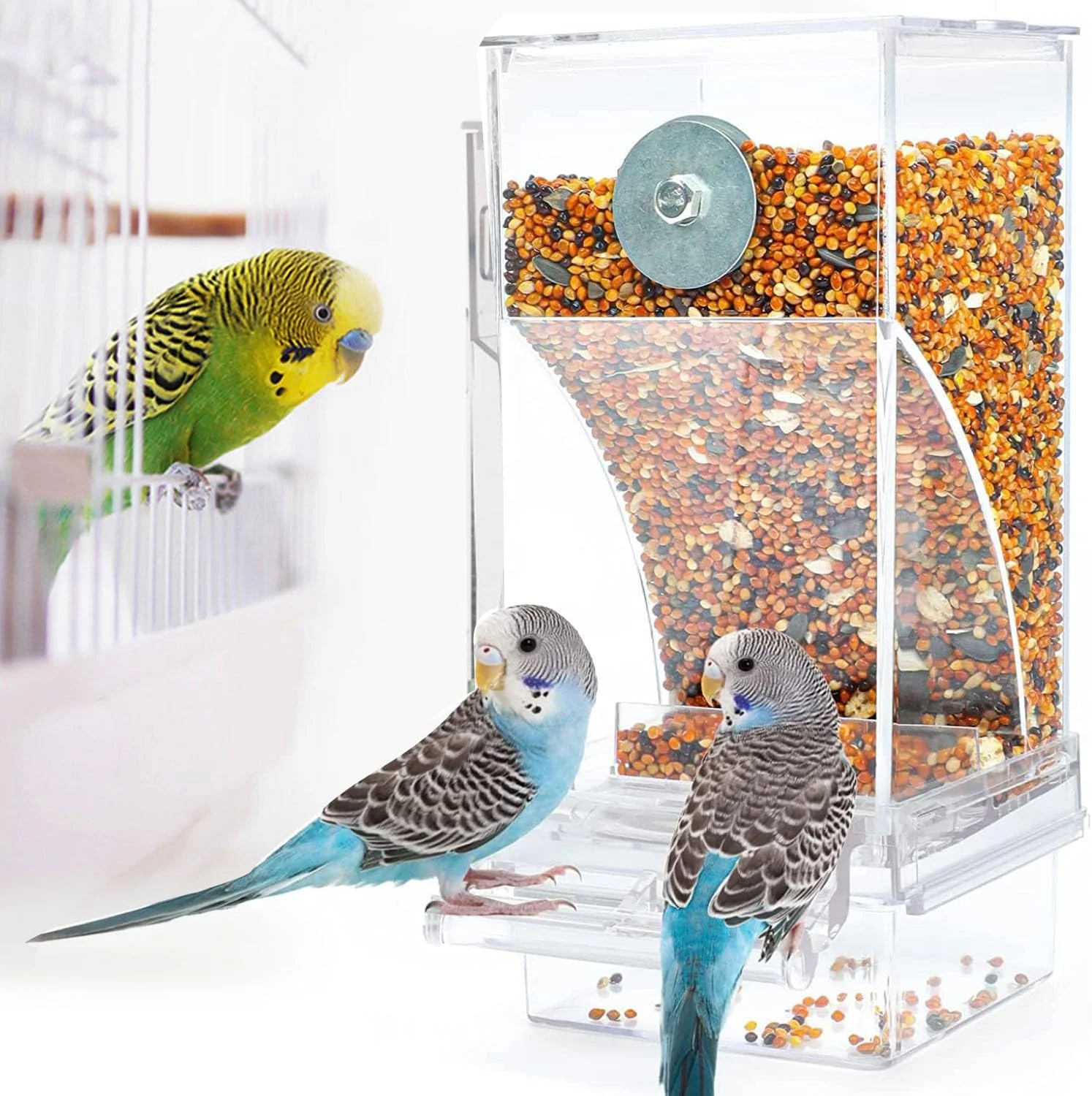 ظرف غذای اتوماتیک طوطی HIQUAY، مخزن غذای پرنده، ظرف غذای دانه طوطی، لوازم جانبی قفس برای طوطی برزیلی، مرغ عشق، عروس هلندی، قناری و فنچ