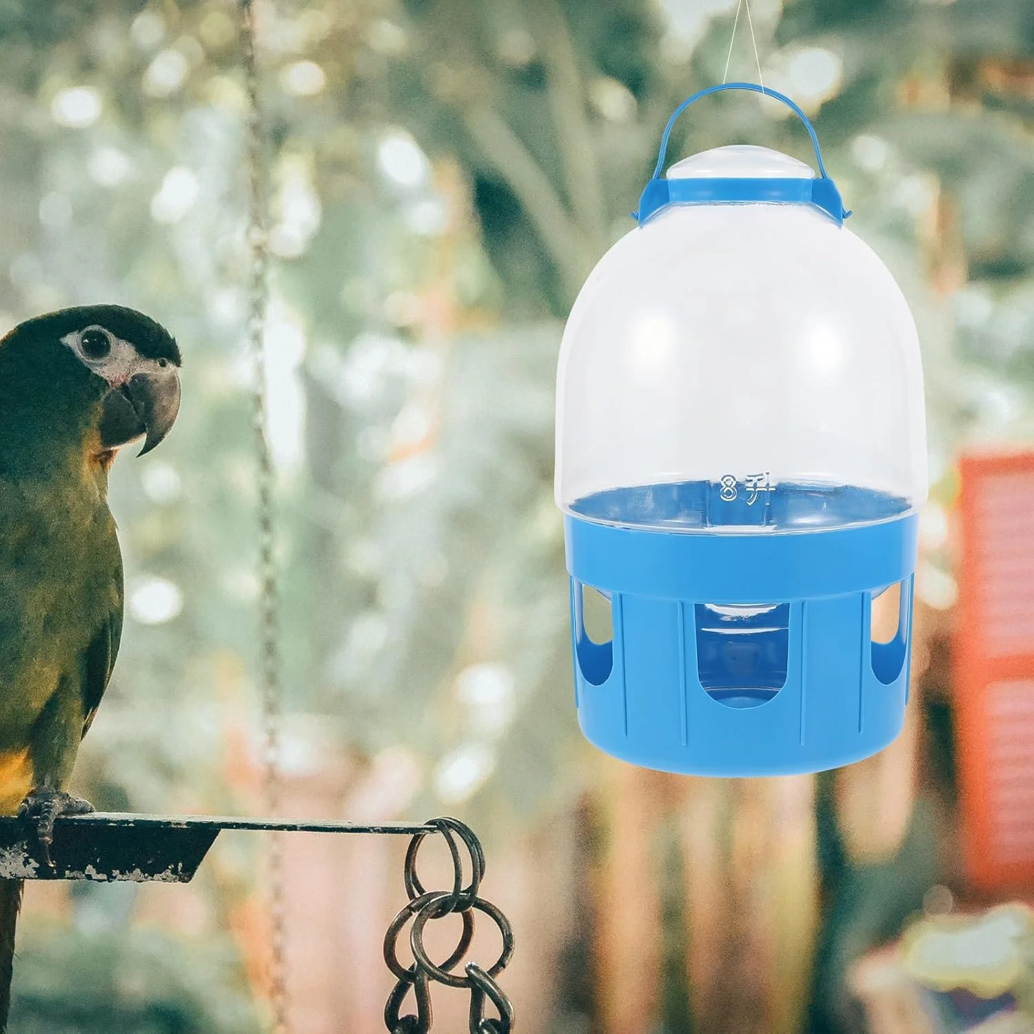 آبخوری کبوتر با ظرفیت بزرگ و طراحی آسان تمیز شونده، مناسب برای طوطی ها، قمری ها و سایر پرندگان