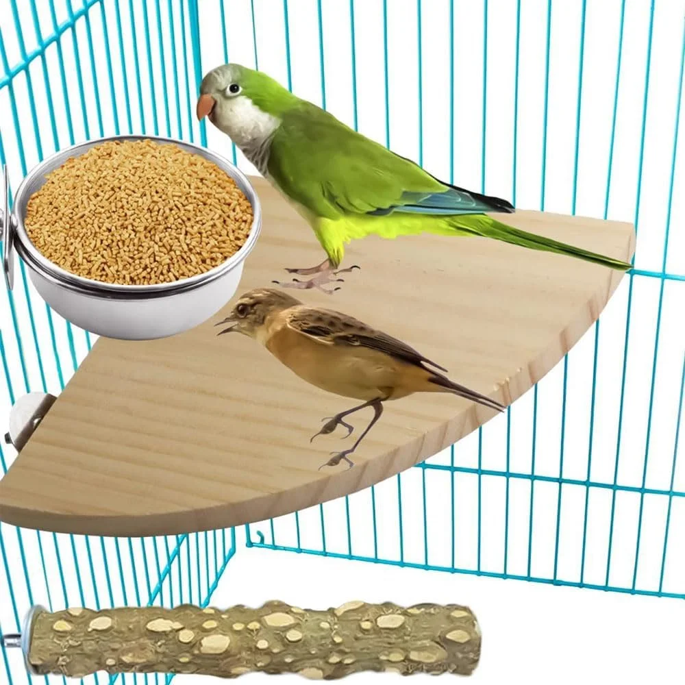 ظرف غذای قفس پرنده، 2 عدد کاسه استیل ضد زنگ پرنده، ظرف آب و غذای پرنده برای قفس، مناسب برای طوطی، فنچ، مرغ عشق و حیوانات کوچک