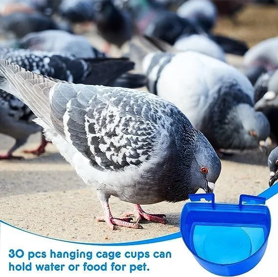 فنجان قفسی، ظروف غذای پرنده، ظرف آب مرغ، کاسه غذای خرگوش، کاسه دانه پلاستیکی، ظرف آویز غذا و آب مرغ، فنجان های غذاخوری قفس پرنده برای طوطی، مرغ عشق، طیور، کبوتر، آبی (30 عدد)