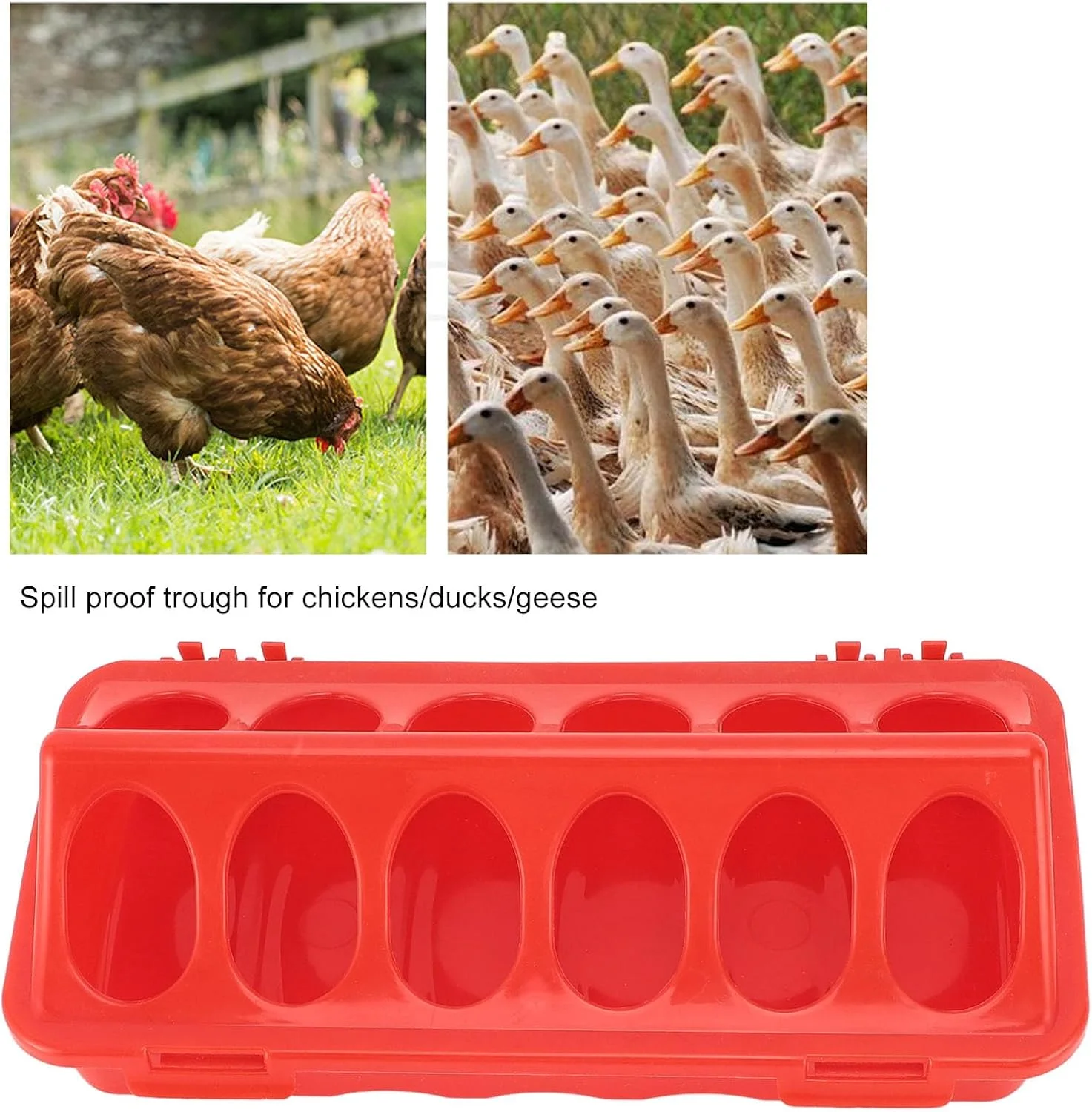 فیدر طیور پلاستیکی درب دار Fabater، پخش کننده ظرف غذای چند سوراخه پرندگان، فیدر کوچک ضد ریزش طیور برای پرندگان