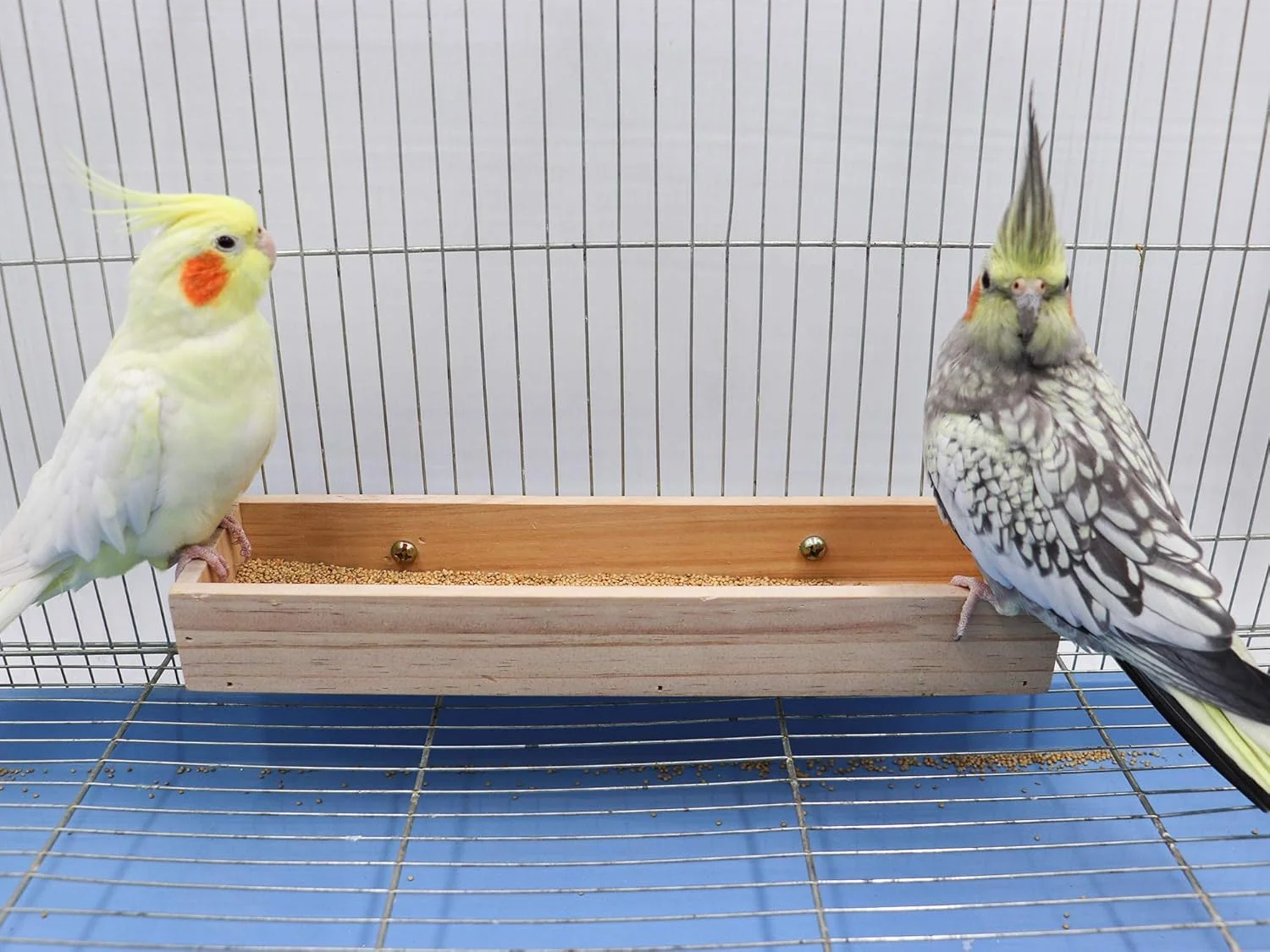 فنجان های چوبی تغذیه پرنده طوطی، استند نشیمنگاه چوبی طبیعی پرنده طوطی، ظرف غذای پرندگان، اسباب بازی کاسه نشیمنگاه ایستاده قفس پرنده برای طوطی حیوانات کوچک، موش، مرغ عشق، باجریگار، مرغ عشق