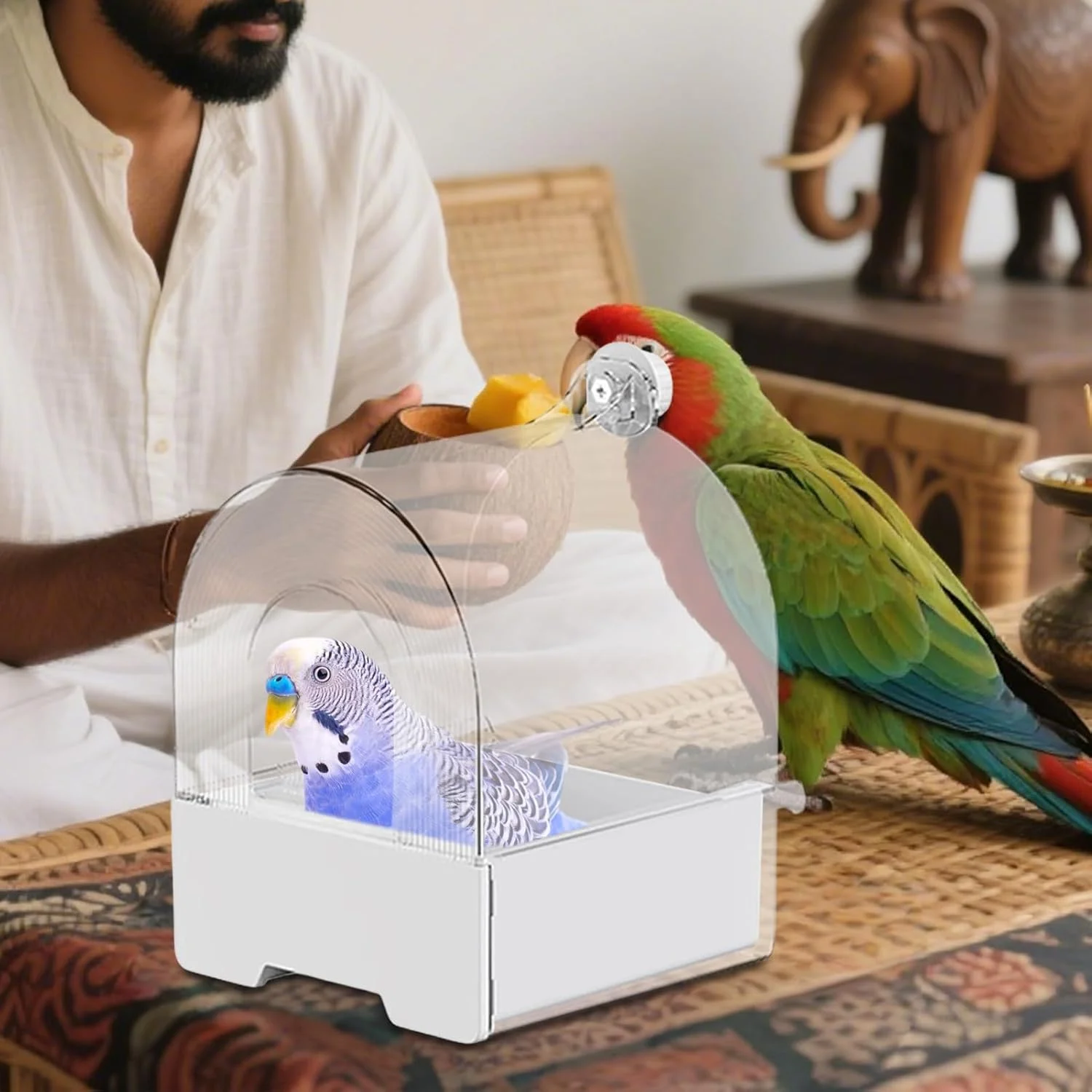 ظرف غذای پرنده، ظرف غذای کشویی طوطی - تجهیزات غذاخوری پرندگان، محوطه حمام، تزئینی برای حیاط خلوت، تراس، باغ، بالکن، پاسیو، حصار