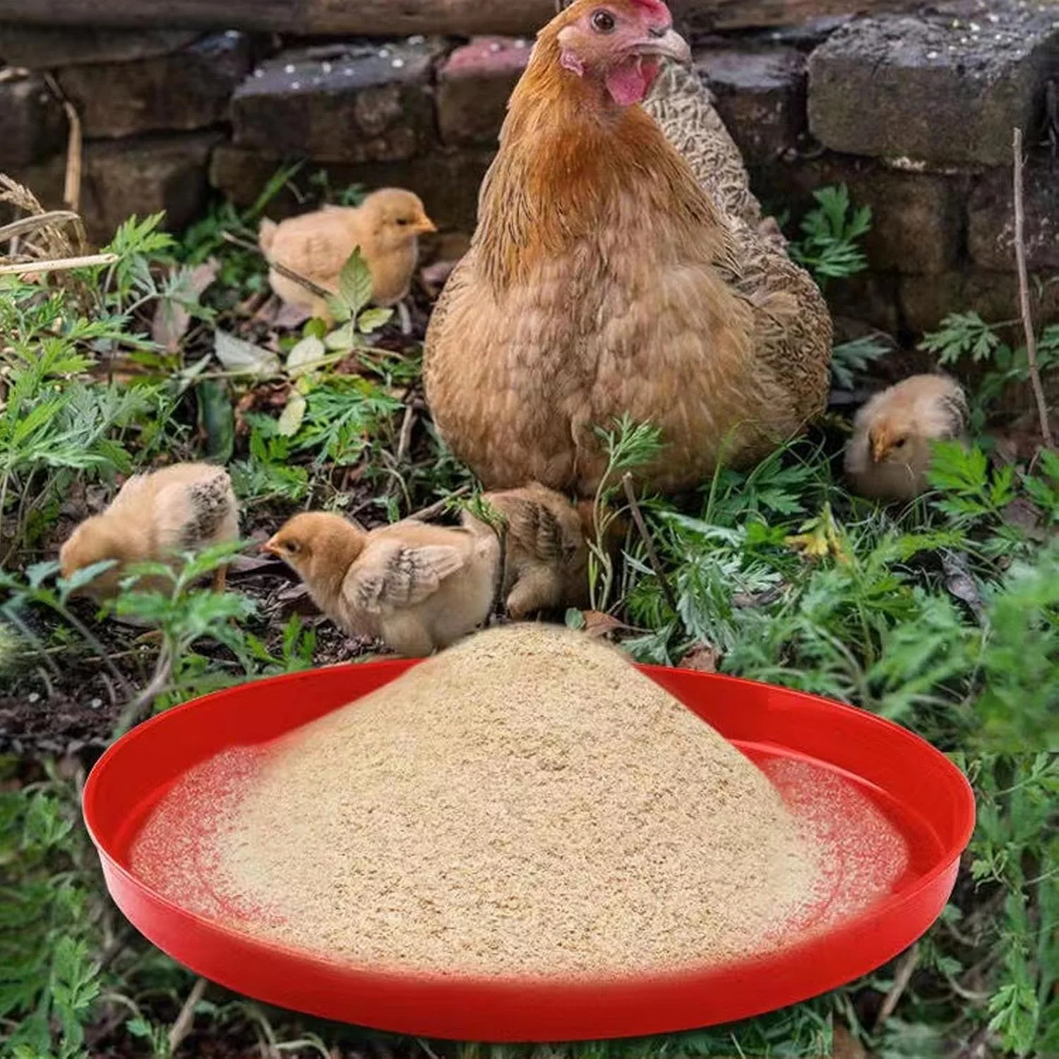 ظرف غذای مرغ، پد غذادهی اردک | کاسه قابل حمل برای حیاط خلوت، باغ، مزرعه، انبار، قفس، محوطه پرندگان، مرغابی، مرغ، کبوتر، غاز، بلدرچین