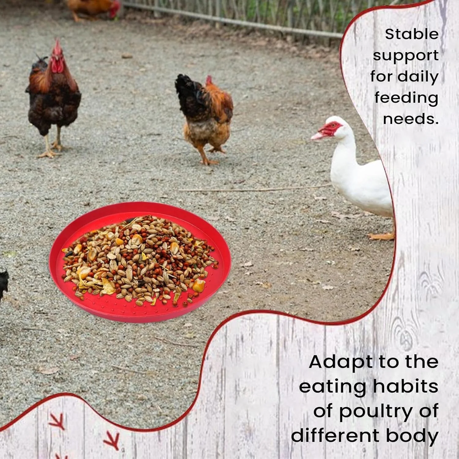ظرف غذای طیور | ظرف غذادهی قابل حمل برای جوجه ها - کاسه قابل حمل برای حیاط خلوت، باغ، مزرعه، انبار، محوطه، پرندگان، اردک ها، مرغ ها، کبوترها، غازها و بلدرچین ها