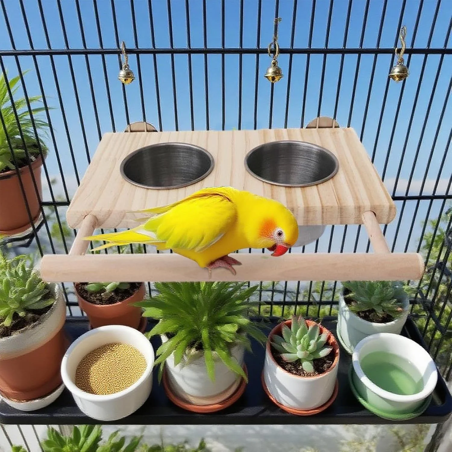 نشیمنگاه قفس پرنده | پایه چوبی تغذیه پرندگان همراه با کاسه های استیل ضد زنگ مناسب برای طوطی برزیلی، طوطی کوتوله، عروس هلندی، ماکائو، فنچ، مرغ عشق، پرندگان کوچک و متوسط برای غذا خوردن و آشامیدن