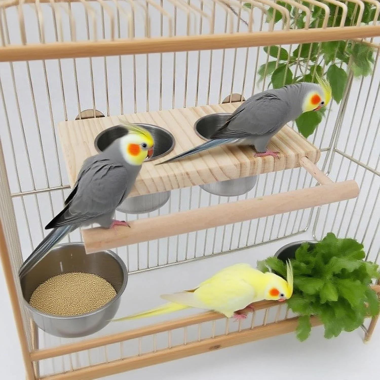 نشیمنگاه قفس پرنده | پایه چوبی تغذیه پرندگان همراه با کاسه های استیل ضد زنگ مناسب برای طوطی برزیلی، طوطی کوتوله، عروس هلندی، ماکائو، فنچ، مرغ عشق، پرندگان کوچک و متوسط برای غذا خوردن و آشامیدن
