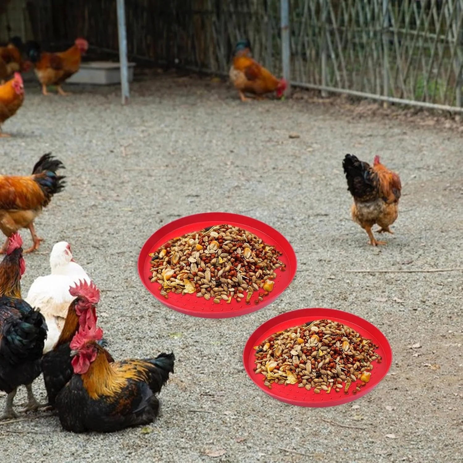 ظروف غذای طیور برای مرغ | بشقاب غذای مرغ در فضای باز | کاسه قابل حمل برای باغ حیاط خلوت مزرعه انبار قفس پرندگان اردک مرغ کبوتر جوجه غاز بلدرچین