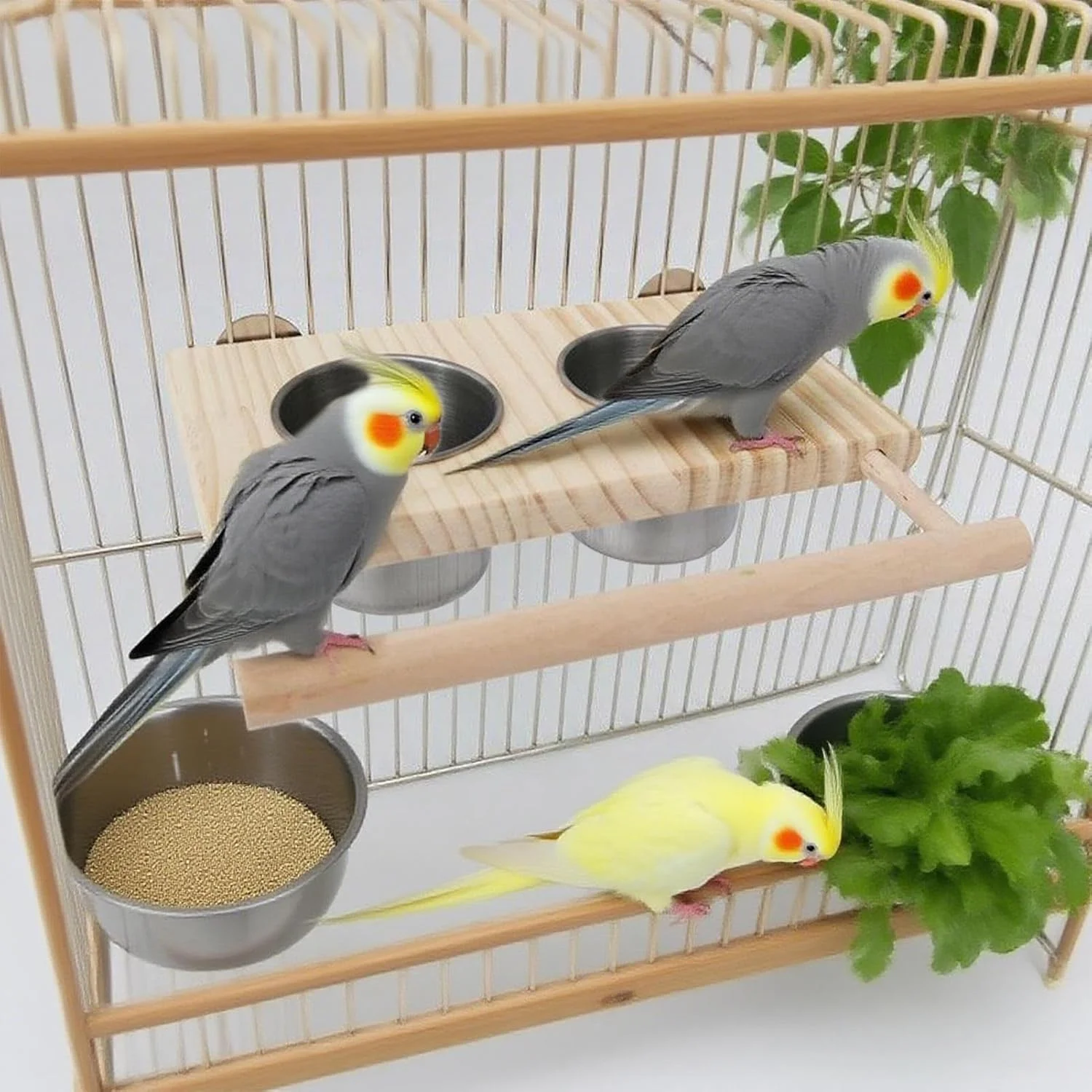 نشیمنگاه پرنده، نشیمنگاه طوطی برای پرندگان بزرگ - ایستگاه چوبی با کاسه های غذا برای تغذیه طوطی های کوچک و متوسط، فنچ، مرغ عشق، ماکائو، عروس هلندی برای غنی سازی و رفع خستگی