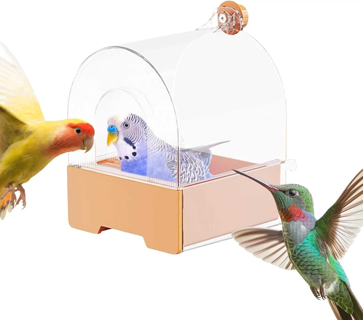ظرف غذای طوطی، ظرف غذای کشویی مخصوص حیوانات خانگی | تجهیزات غذاخوری پرندگان، منطقه حمام، تزئینی برای حیاط خلوت، تراس، باغ، بالکن، پاسیو، حصار