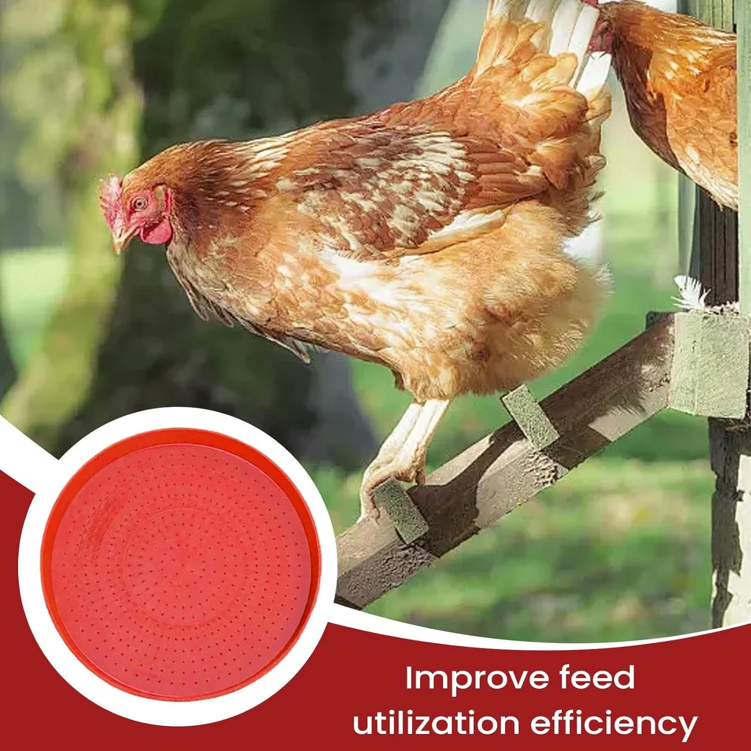 سینی غذای مرغ - بشقاب پیش غذای جوجه سینی های غذای طیور، کاسه قابل حمل برای حیاط خلوت باغ مزرعه انبار قفس پرندگان اردک مرغ کبوتر غاز جوجه بلدرچین