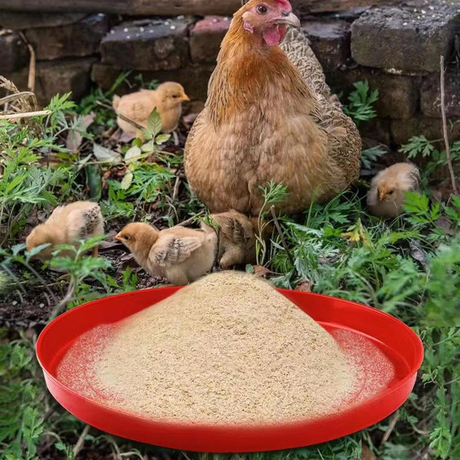 سینی غذای مرغ - بشقاب پیش غذای جوجه سینی های غذای طیور، کاسه قابل حمل برای حیاط خلوت باغ مزرعه انبار قفس پرندگان اردک مرغ کبوتر غاز جوجه بلدرچین