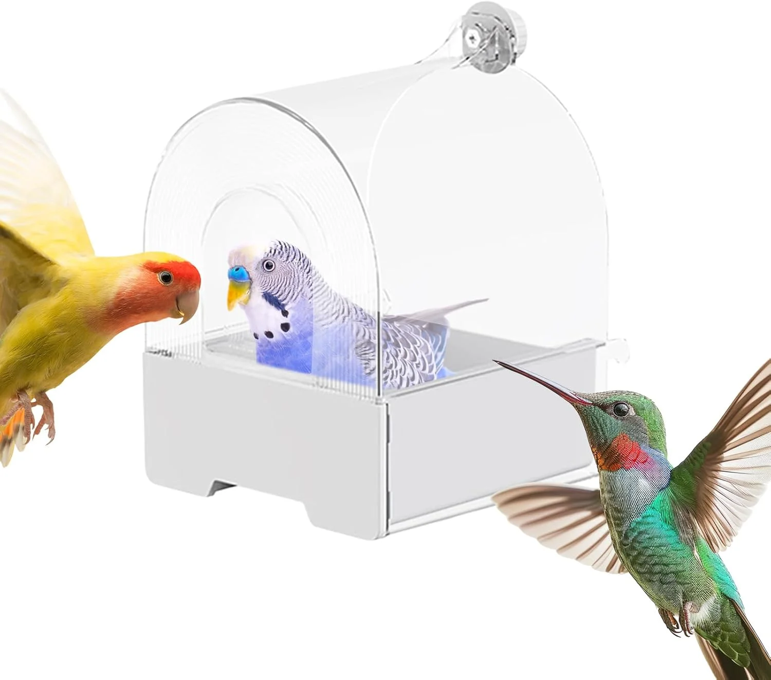 ظرف غذای پرنده | ظرف غذای کشویی خارجی طوطی | تجهیزات حمام پرندگان منطقه غذاخوری حیوانات برای فنچ گنجشک قناری سینه سرخ طوطی