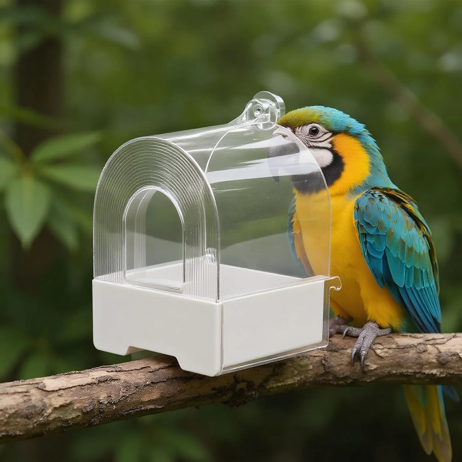 ظرف غذای پرنده برای قفس - ظرف غذای کشویی مخصوص طوطی، محل غذاخوری حیوانات، تجهیزات حمام پرندگان برای فنچ، گنجشک، قناری، سینه سرخ و مرغ عشق