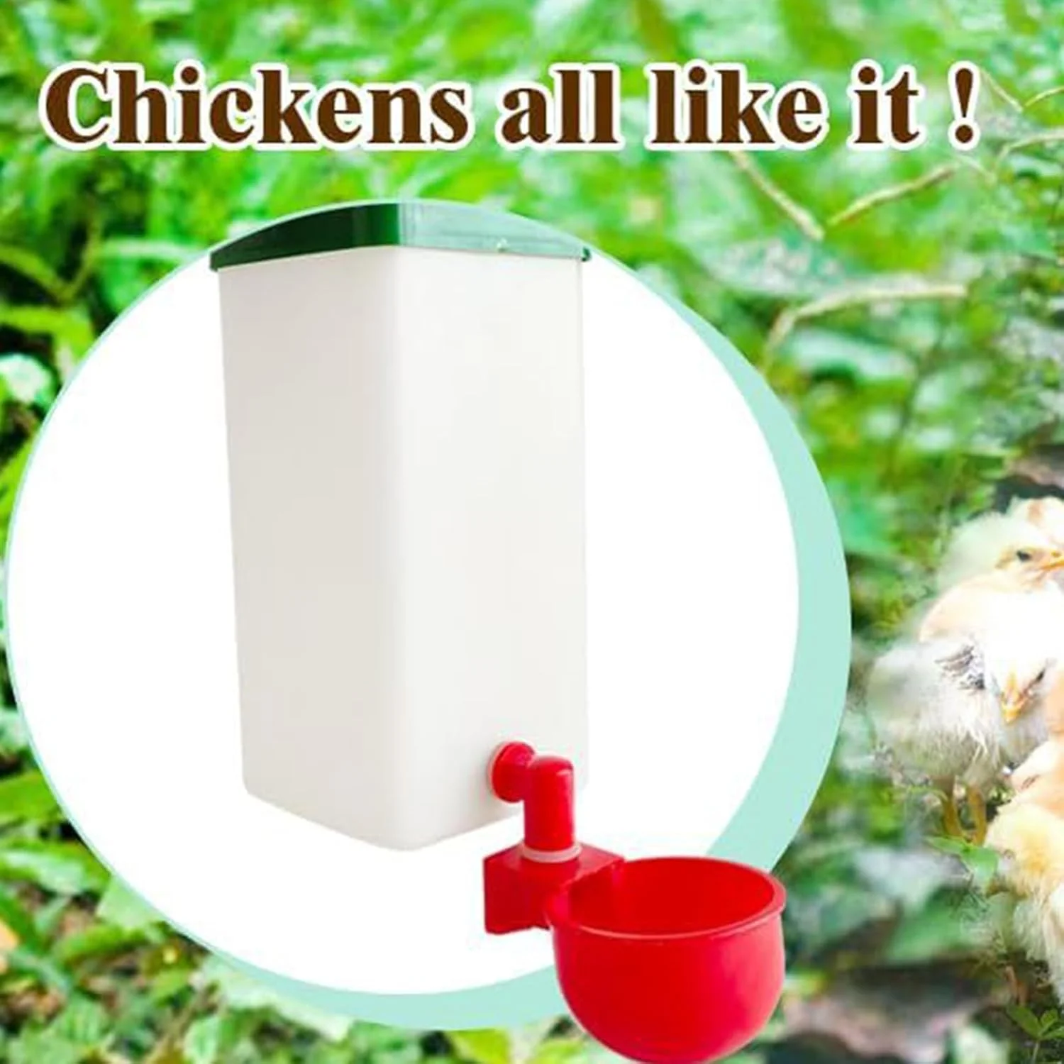 آبخوری پرنده | آبخوری اتوماتیک طوطی 1000 میلی لیتر، لوازم تغذیه آبخوری شفاف مرغ برای خرگوش، مرغ عشق، مرغ خانگی