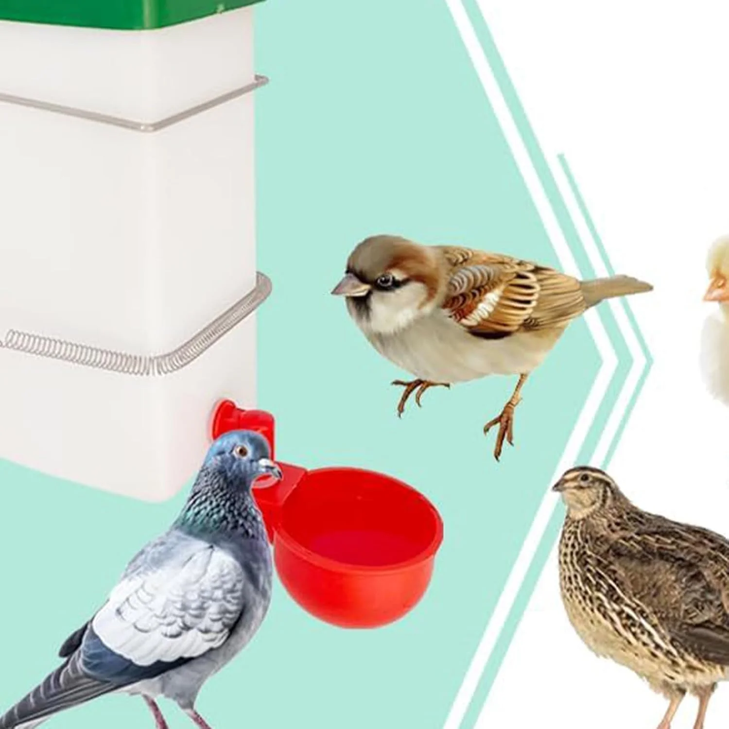 آبخوری پرنده | آبخوری اتوماتیک طوطی 1000 میلی لیتر، لوازم تغذیه آبخوری شفاف مرغ برای خرگوش، مرغ عشق، مرغ خانگی