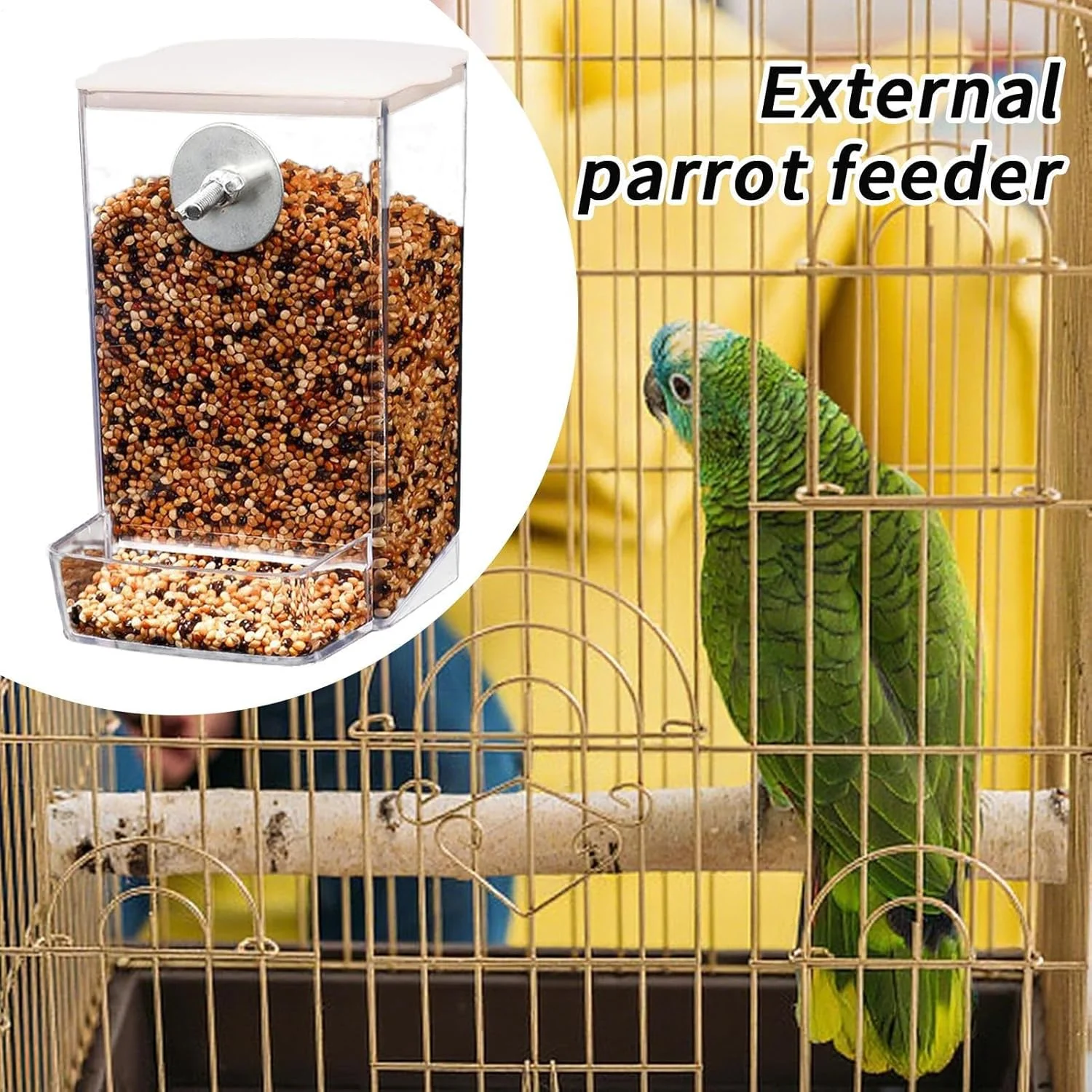 دانخوری پرنده با قابلیت پر شدن خودکار - دانخوری پرنده پنجره ای جداشدنی - شفاف برای پنجره، مرغ، مرغ مگس خوار، عرشه، حیاط