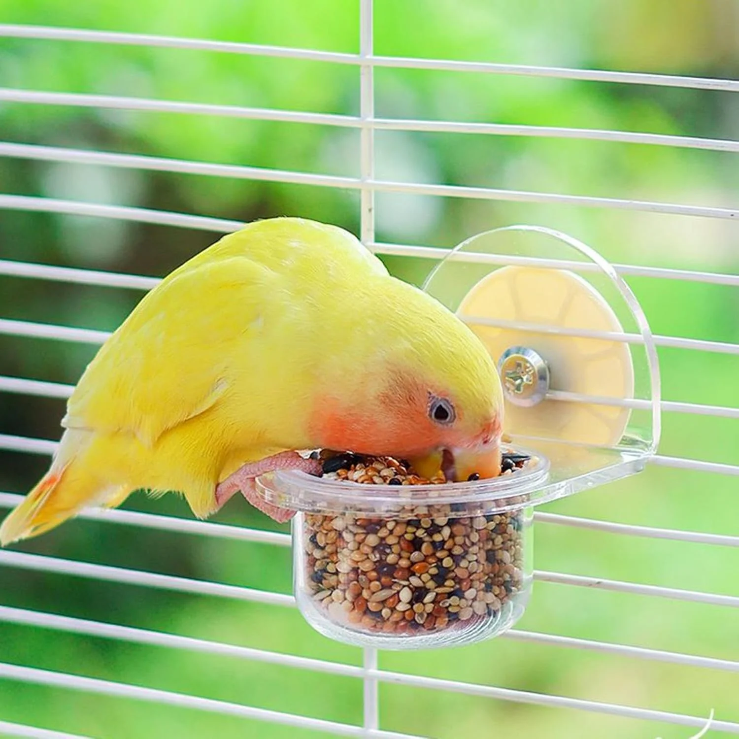 کاسه پرنده - ظرف غذای جداشدنی طوطی و کاسه آب - پخش کننده ظرف شفاف برای لوازم حیوانات خانگی سنجاب قناری کوکاتیل فنچ