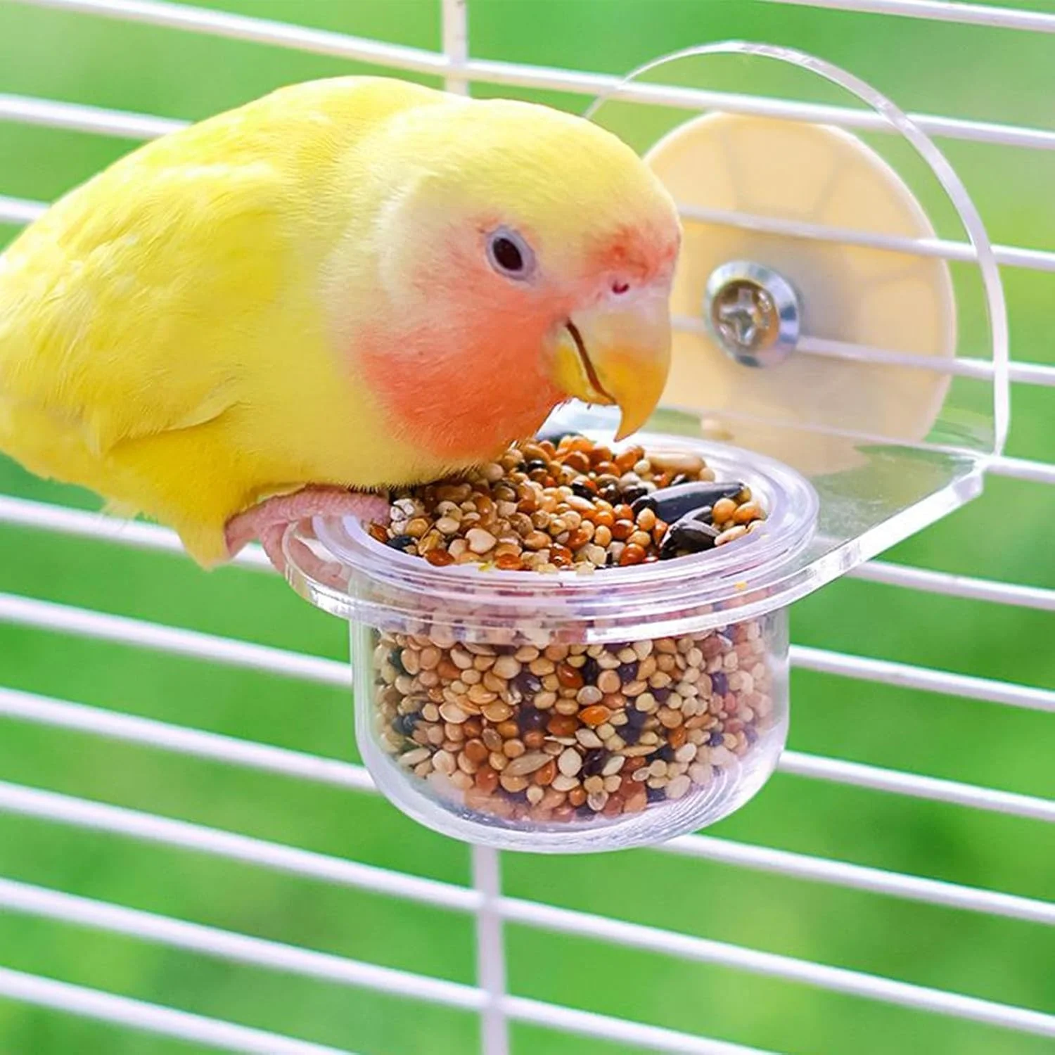 کاسه پرنده - ظرف غذای جداشدنی طوطی و کاسه آب - پخش کننده ظرف شفاف برای لوازم حیوانات خانگی سنجاب قناری کوکاتیل فنچ