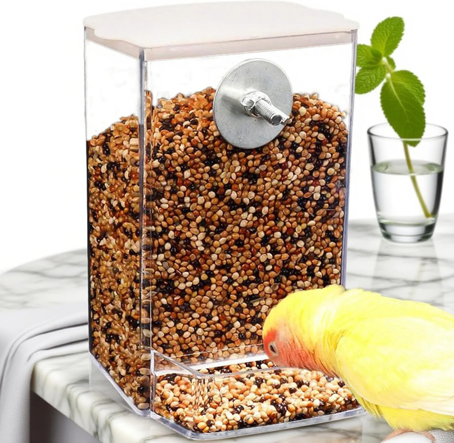 ظرف غذای پرنده خودکار برای فضای باز | پخش کننده غذای پرنده جداشدنی - محفظه غذای شفاف برای طوطی، مرغ مگس خوار، مرغ، پاسیو، پنجره